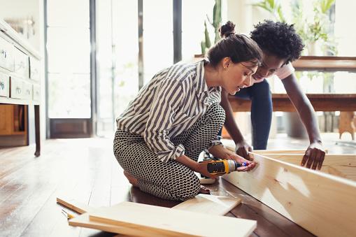 Two Women Renovating